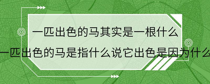 一匹出色的马其实是一根什么 一匹出色的马是指什么说它出色是因为什么