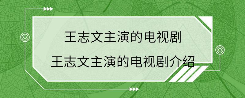 王志文主演的电视剧 王志文主演的电视剧介绍