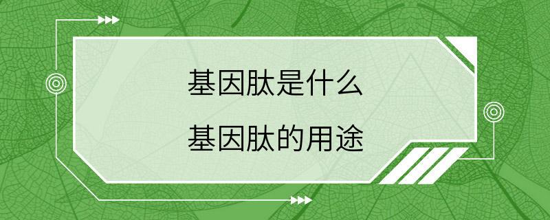 基因肽是什么 基因肽的用途