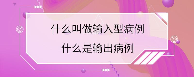 什么叫做输入型病例 什么是输出病例