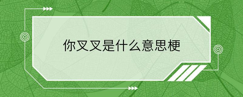 你叉叉是什么意思梗