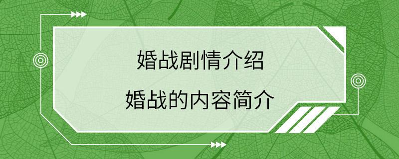 婚战剧情介绍 婚战的内容简介