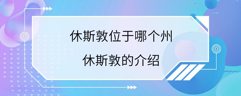 休斯敦位于哪个州 休斯敦的介绍