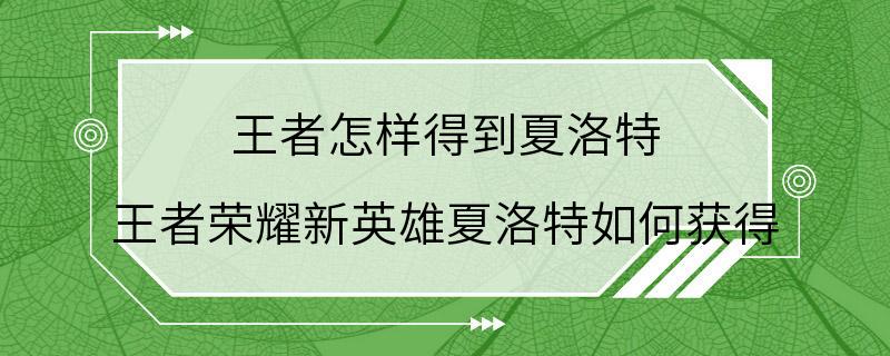 王者怎样得到夏洛特 王者荣耀新英雄夏洛特如何获得