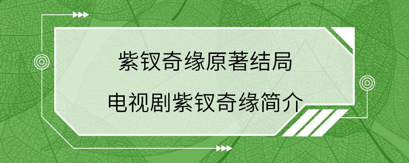 紫钗奇缘原著结局 电视剧紫钗奇缘简介