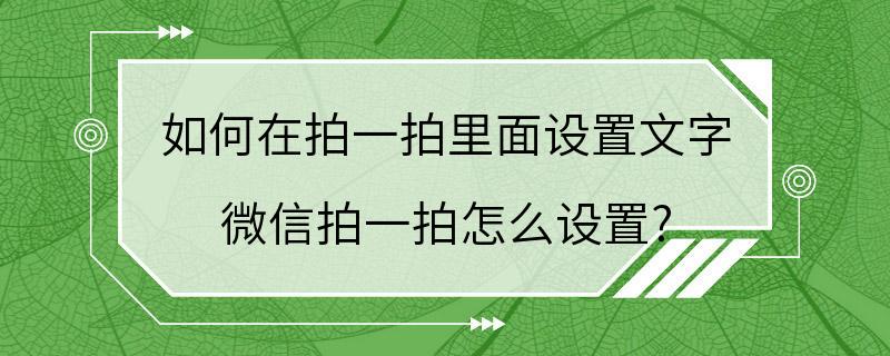 如何在拍一拍里面设置文字 微信拍一拍怎么设置?