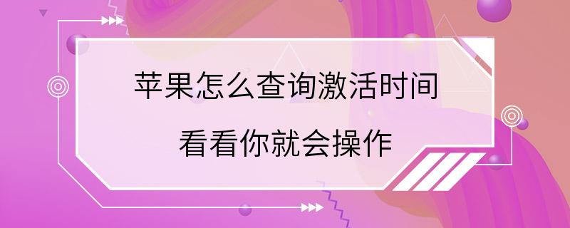 苹果怎么查询激活时间 看看你就会操作