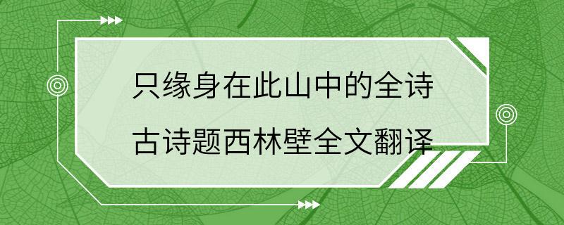 只缘身在此山中的全诗 古诗题西林壁全文翻译