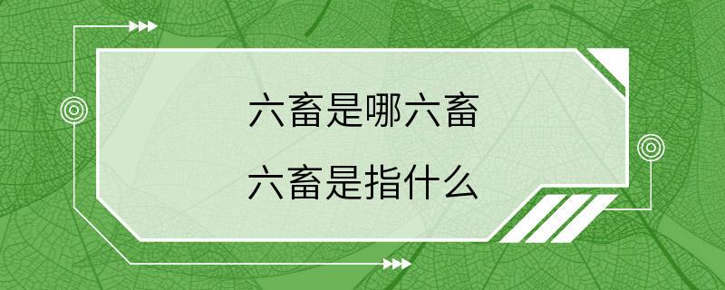 六畜是哪六畜 六畜是指什么