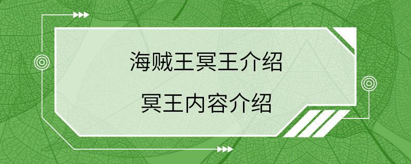 海贼王冥王介绍 冥王内容介绍