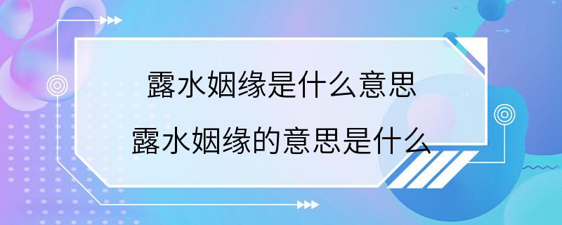 露水姻缘是什么意思 露水姻缘的意思是什么