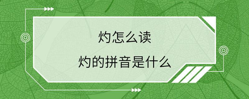 灼怎么读 灼的拼音是什么