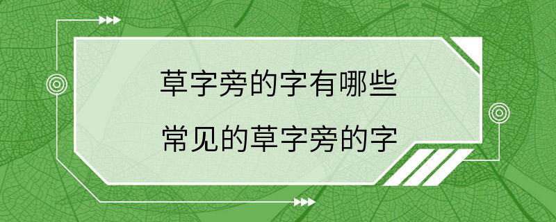 草字旁的字有哪些 常见的草字旁的字