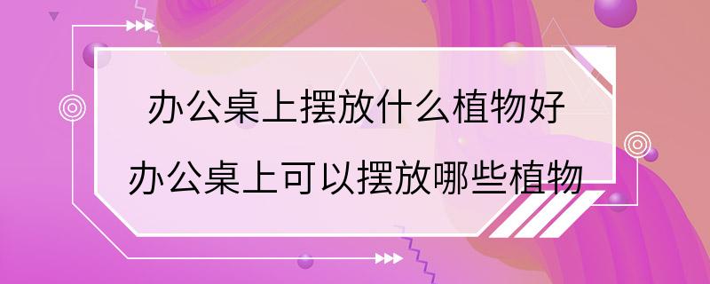 办公桌上摆放什么植物好 办公桌上可以摆放哪些植物