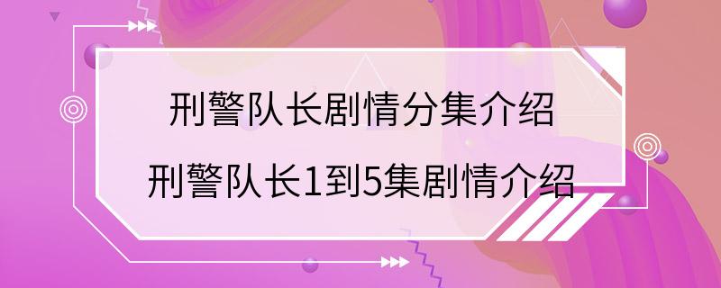 刑警队长剧情分集介绍 刑警队长1到5集剧情介绍