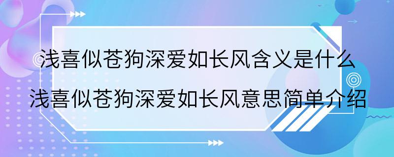 浅喜似苍狗深爱如长风含义是什么 浅喜似苍狗深爱如长风意思简单介绍