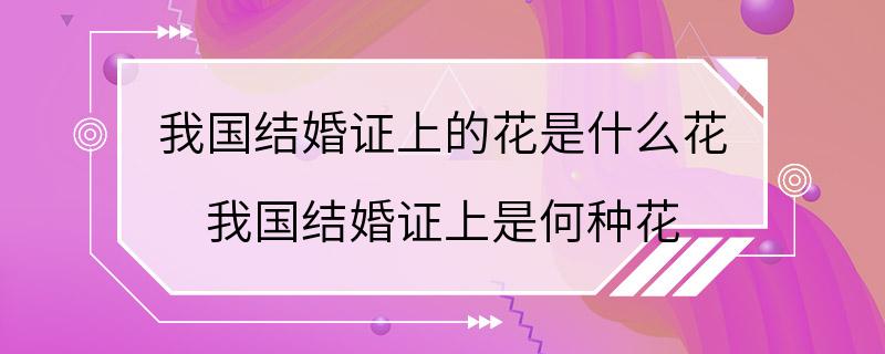 我国结婚证上的花是什么花 我国结婚证上是何种花