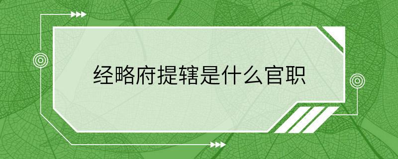 经略府提辖是什么官职