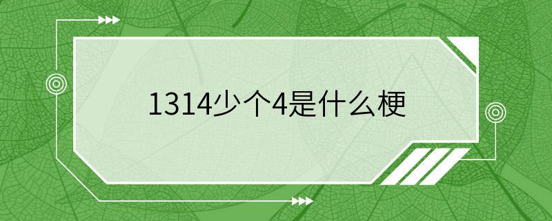 1314少个4是什么梗