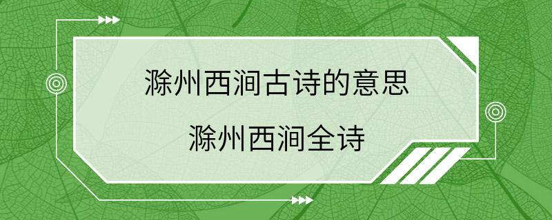 滁州西涧古诗的意思 滁州西涧全诗