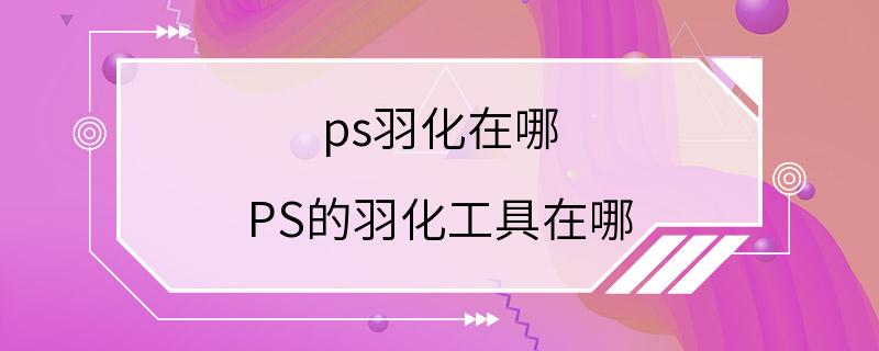 ps羽化在哪 PS的羽化工具在哪