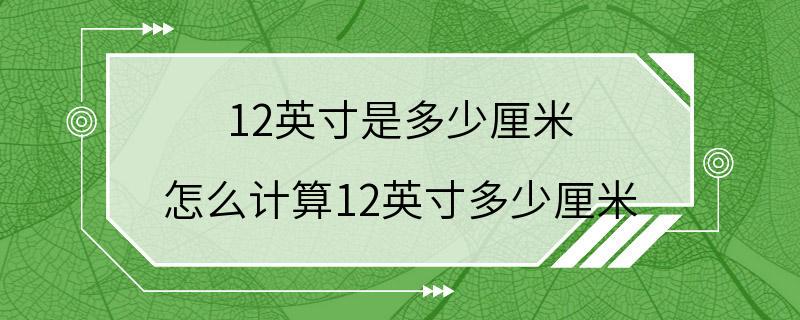 12英寸是多少厘米 怎么计算12英寸多少厘米