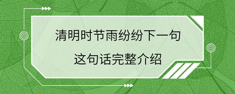 清明时节雨纷纷下一句 这句话完整介绍