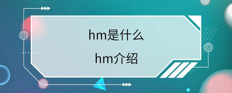 hm是什么 hm介绍