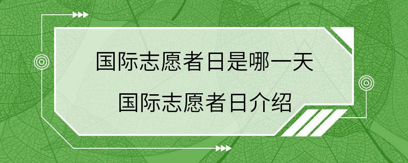 国际志愿者日是哪一天 国际志愿者日介绍