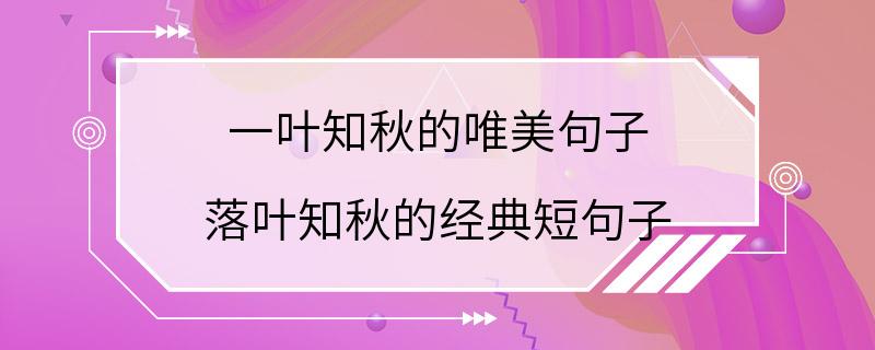 一叶知秋的唯美句子 落叶知秋的经典短句子