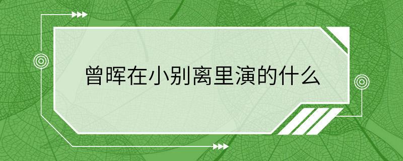 曾晖在小别离里演的什么