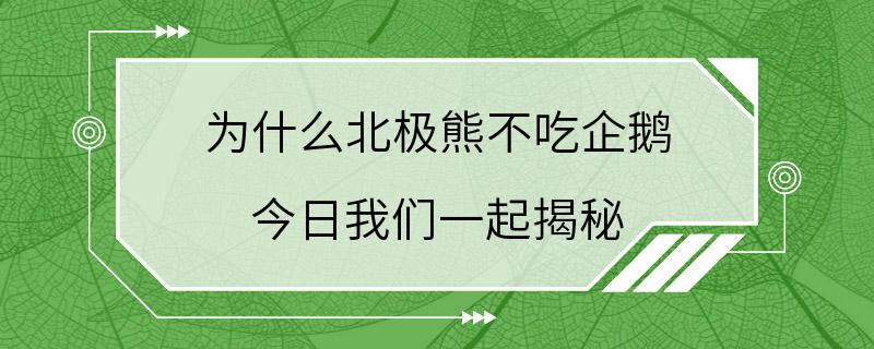 为什么北极熊不吃企鹅 今日我们一起揭秘