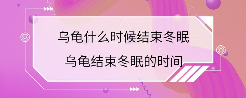 乌龟什么时候结束冬眠 乌龟结束冬眠的时间