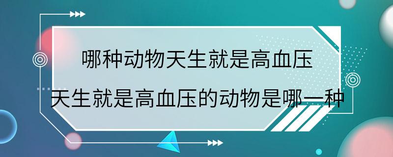 哪种动物天生就是高血压 天生就是高血压的动物是哪一种