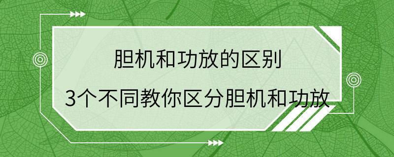 胆机和功放的区别 3个不同教你区分胆机和功放