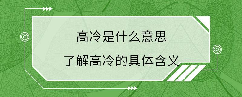 高冷是什么意思 了解高冷的具体含义