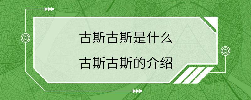 古斯古斯是什么 古斯古斯的介绍