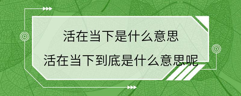 活在当下是什么意思 活在当下到底是什么意思呢