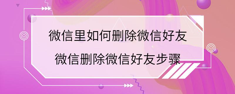 微信里如何删除微信好友 微信删除微信好友步骤