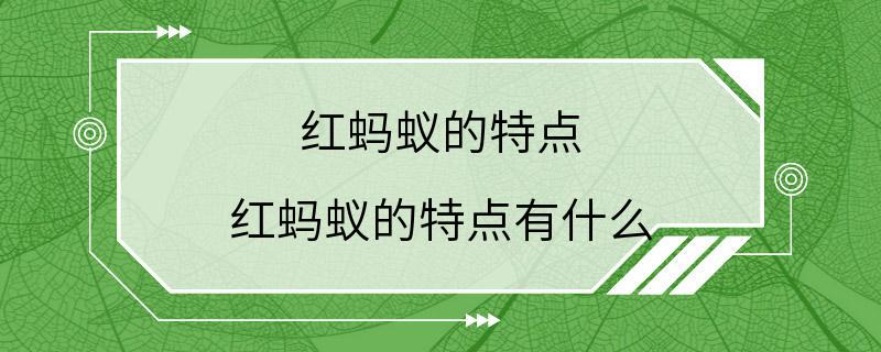 红蚂蚁的特点 红蚂蚁的特点有什么