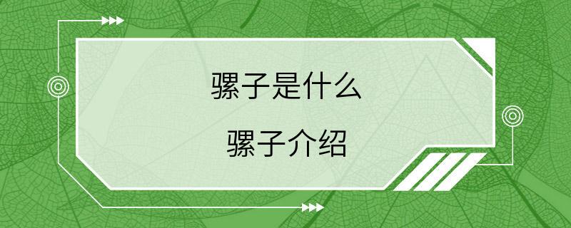 骡子是什么 骡子介绍