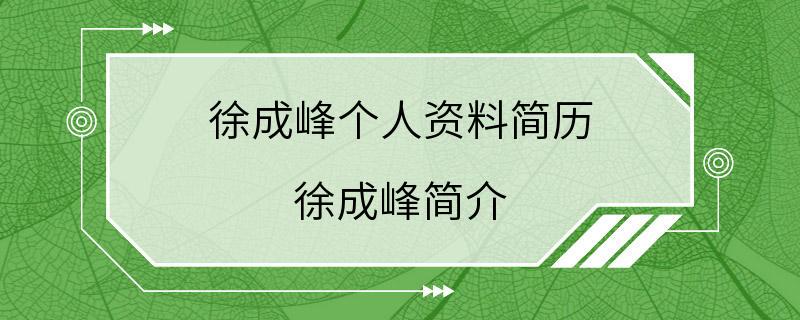 徐成峰个人资料简历 徐成峰简介