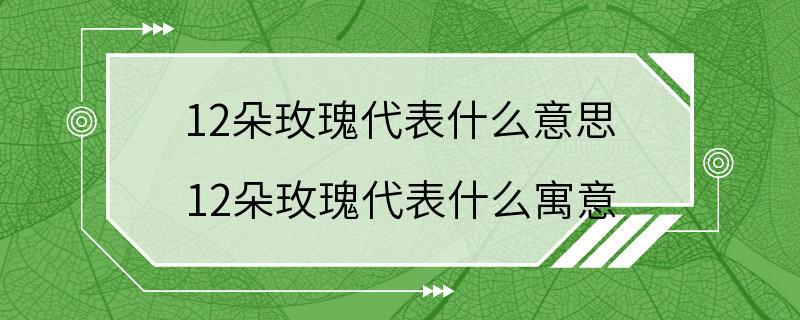 12朵玫瑰代表什么意思 12朵玫瑰代表什么寓意