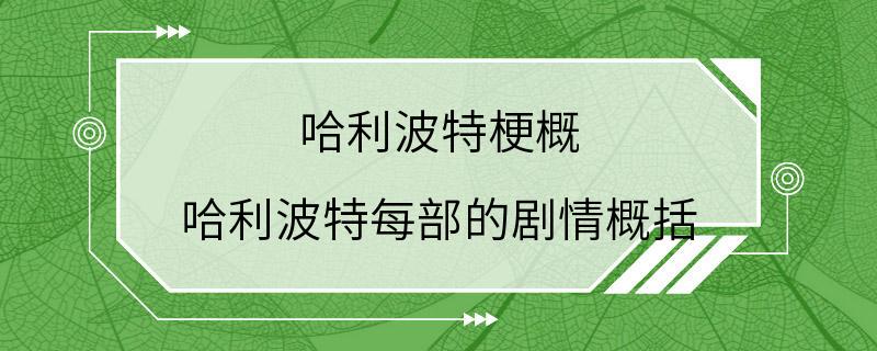 哈利波特梗概 哈利波特每部的剧情概括