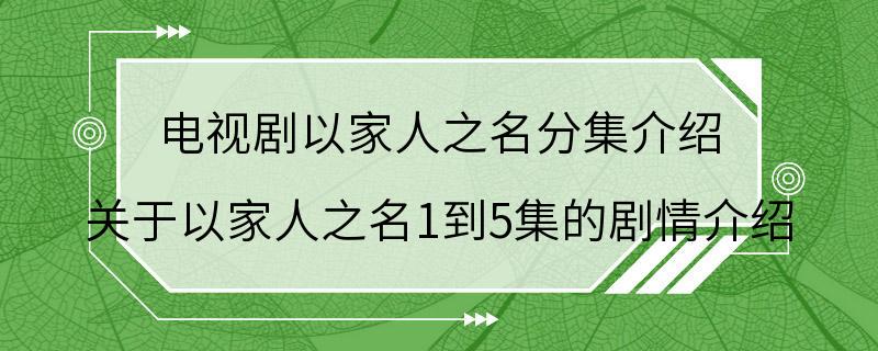 电视剧以家人之名分集介绍 关于以家人之名1到5集的剧情介绍