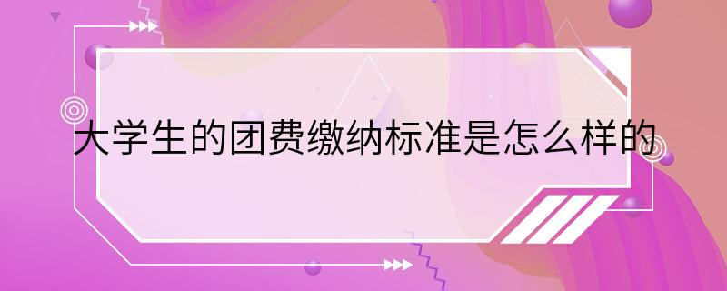 大学生的团费缴纳标准是怎么样的