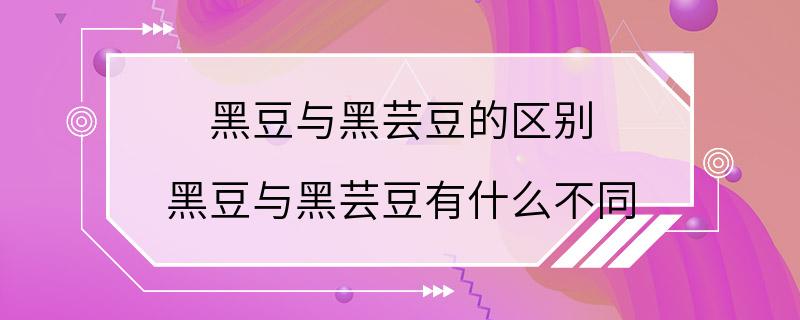 黑豆与黑芸豆的区别 黑豆与黑芸豆有什么不同