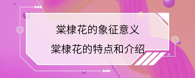 棠棣花的象征意义 棠棣花的特点和介绍