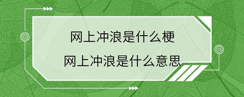 网上冲浪是什么梗 网上冲浪是什么意思