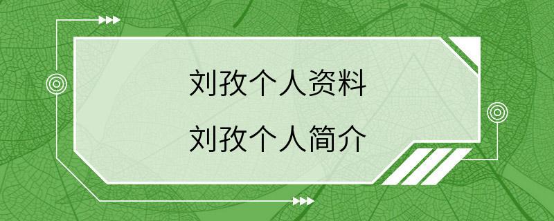 刘孜个人资料 刘孜个人简介